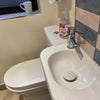 Photo 3: Toilet and vanity basin