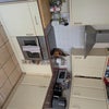 Photo 9: kitchen