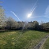 Photo 7: Communal gardens 
