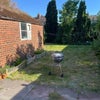 Photo 3: Garden