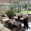 Photo 6: Conservatory (and Harry)