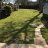 Photo 2: Garden