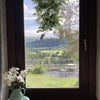 Photo 5: View from bedroom window