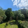 Photo 5: View from the bedroom window