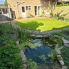 Photo 8: Garden