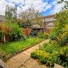 Photo 2: Garden