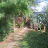 Photo 3: Garden