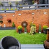 Photo 4: Garden