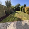 Photo 6: Garden