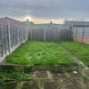 Photo 8: Garden 