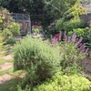 Photo 3: View over Back garden