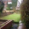 Photo 9: back garden