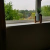 Photo 3: View from bedroom