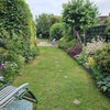 Photo 7: Garden  (down)