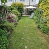 Photo 8: Garden (up)