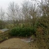 Photo 9: Rear garden 