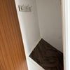 Photo 8: Large built in cupboard