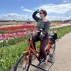 Photo 7: In the Netherlands!