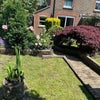 Photo 5: Garden
