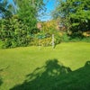 Photo 7: Outside garden area
