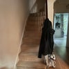 Photo 4: Hallway