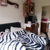Photo 6: King size bed