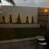 Photo 4: Garden 