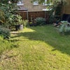 Photo 3: garden
