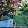 Photo 7: Garden