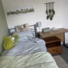 Photo 7: Room (Yours)