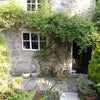 Photo 8: Garden and front door