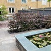 Photo 7: Garden