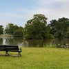 Photo 4: Falmer pond
