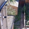 Photo 8: Garden
