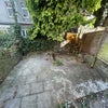 Photo 4: Garden