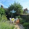 Photo 6: Garden