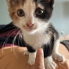 Photo 6: Luna :)