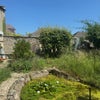 Photo 3: Garden view