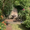 Photo 8: Sunny back garden with patio