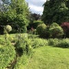 Photo 9: 1/2 of the garden 