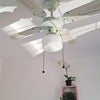 Photo 4: Quiet ceiling fan