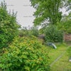 Photo 10: Garden