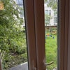 Photo 3: Garden