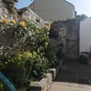 Photo 9: Courtyard garden