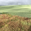 Photo 3: view southwest with green roof