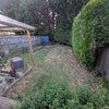Photo 6: Backyard