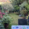 Photo 2: Garden with seating