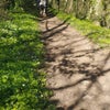 Photo 7: Unique woodlands
