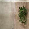 Photo 6: Shower