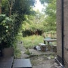 Photo 5: Garden or Patio